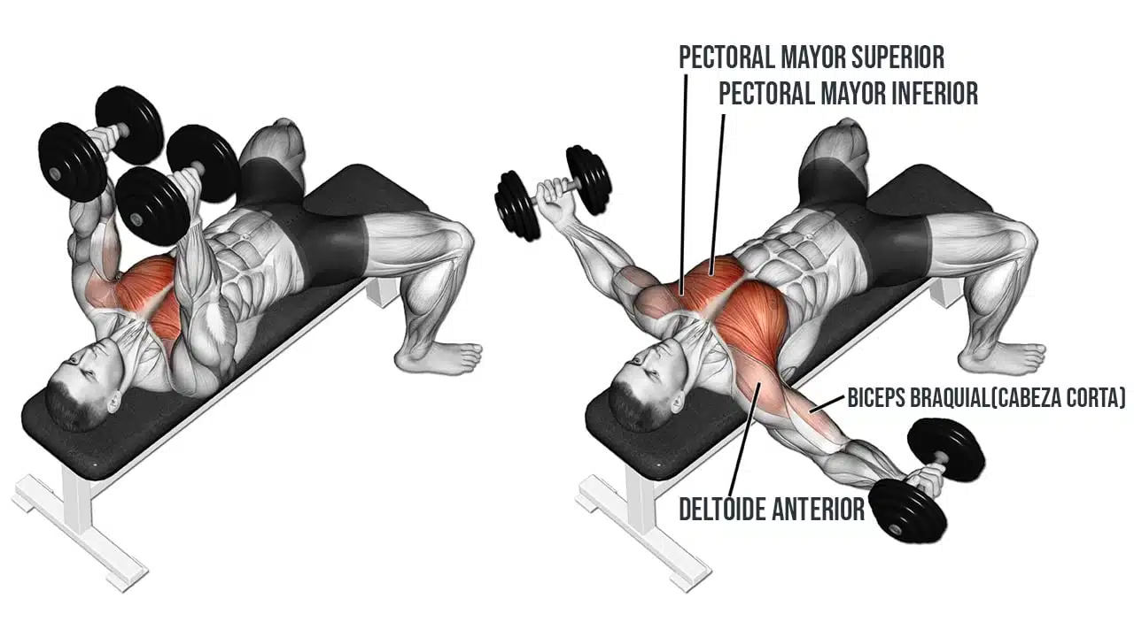 Incline Bench Press